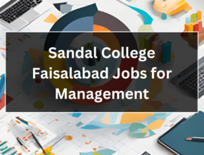 Sandal College Faisalabad Jobs for Management