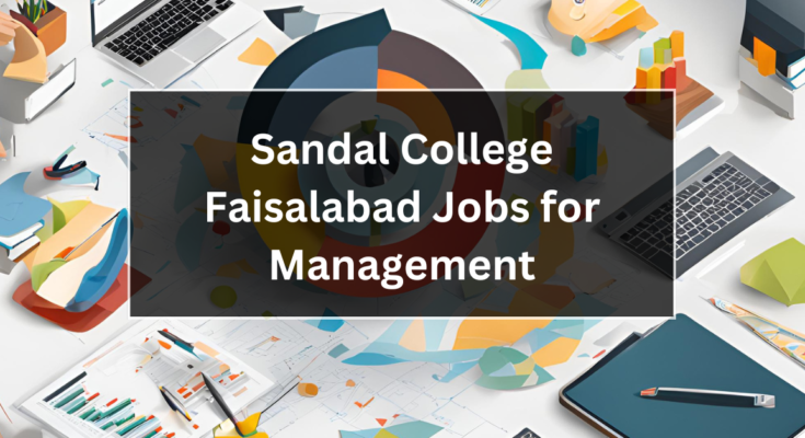 Sandal College Faisalabad Jobs for Management