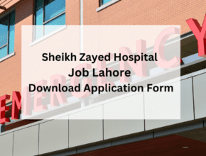 Sheikh Zayed Hospital Job Lahore Download Application Form