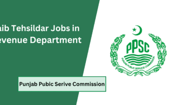 Naib Tehsildar Jobs in Revenue Department