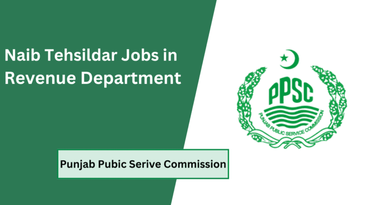 Naib Tehsildar Jobs in Revenue Department