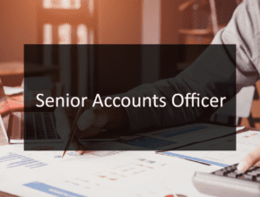 Senior Accounts Officer Job