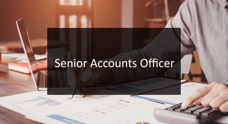 Senior Accounts Officer Job